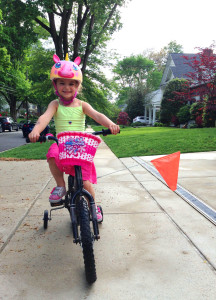 kids bike flag